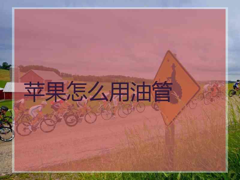 苹果怎么用油管