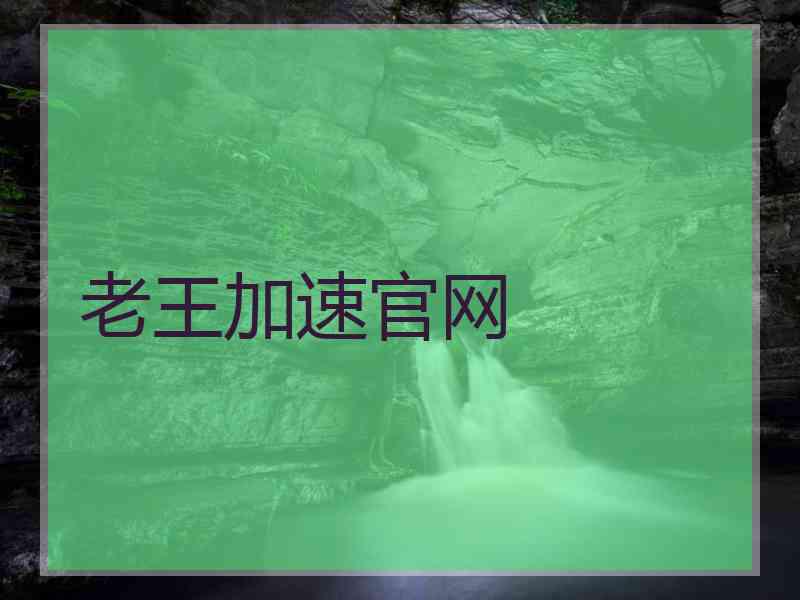 老王加速官网