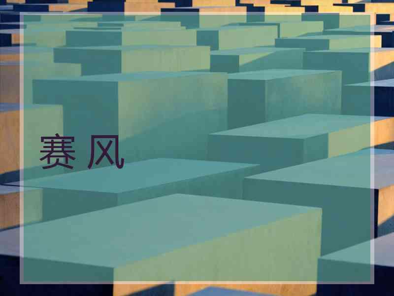 赛 风