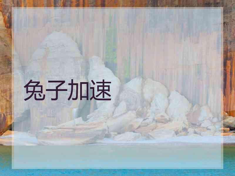 兔子加速