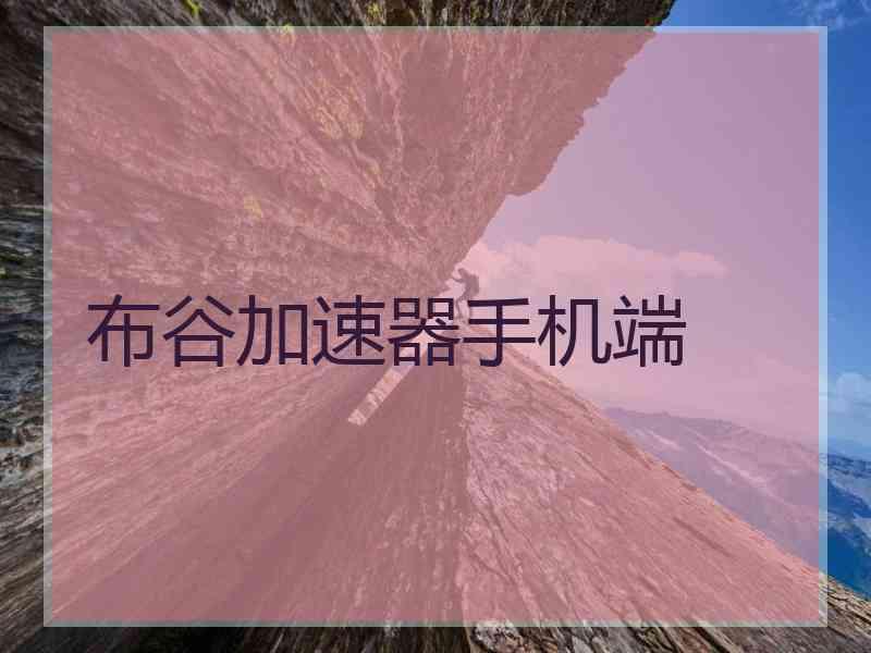 布谷加速器手机端