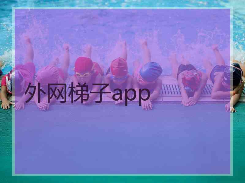 外网梯子app