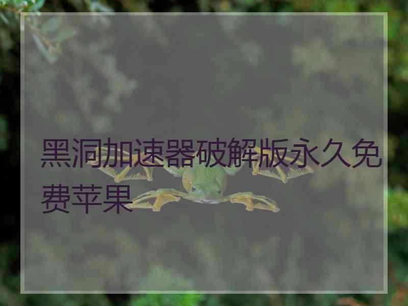 黑洞加速器破解版永久免费苹果