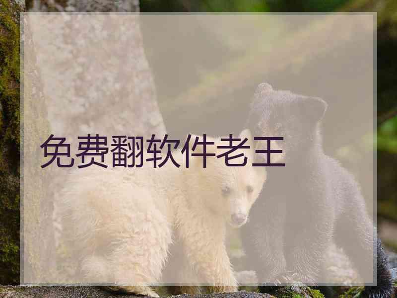 免费翻软件老王
