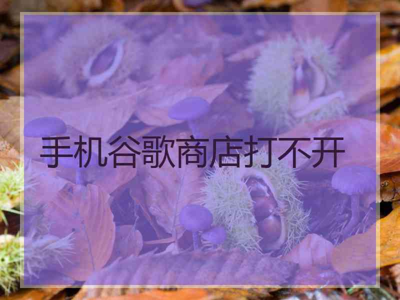 手机谷歌商店打不开