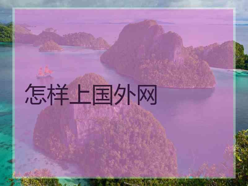 怎样上国外网