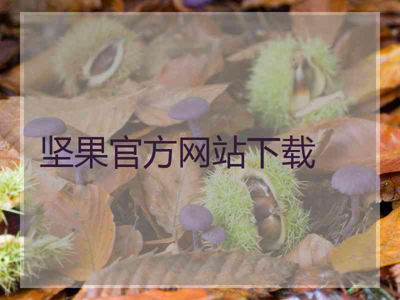 坚果官方网站下载