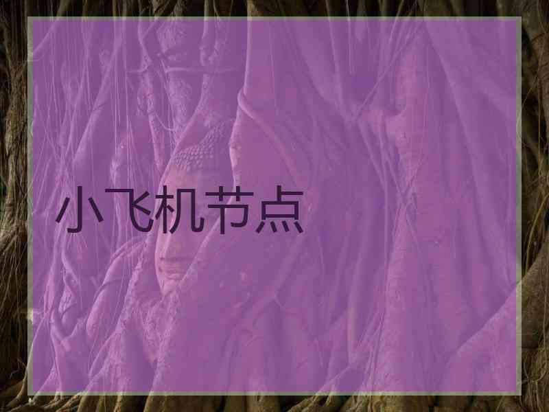 小飞机节点