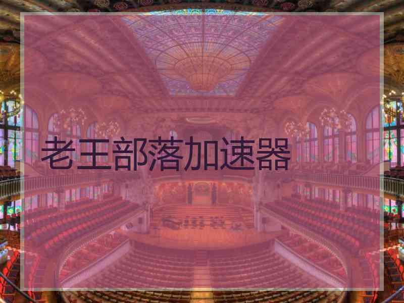 老王部落加速器