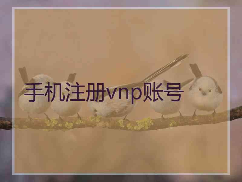 手机注册vnp账号