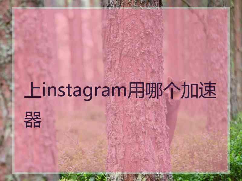 上instagram用哪个加速器