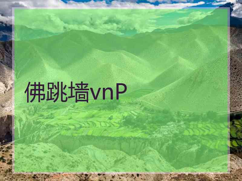佛跳墙vnP