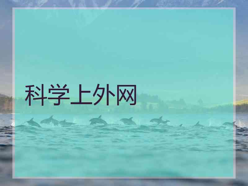科学上外网