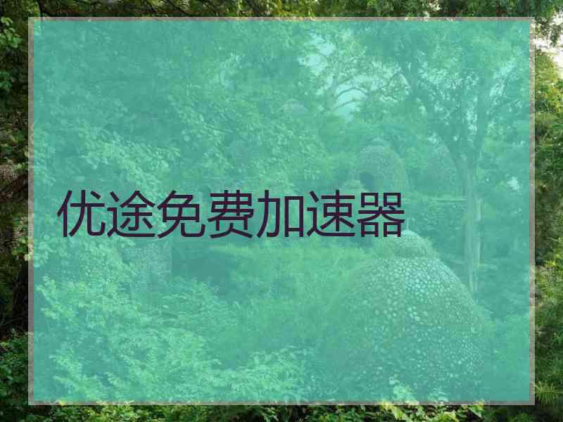 优途免费加速器