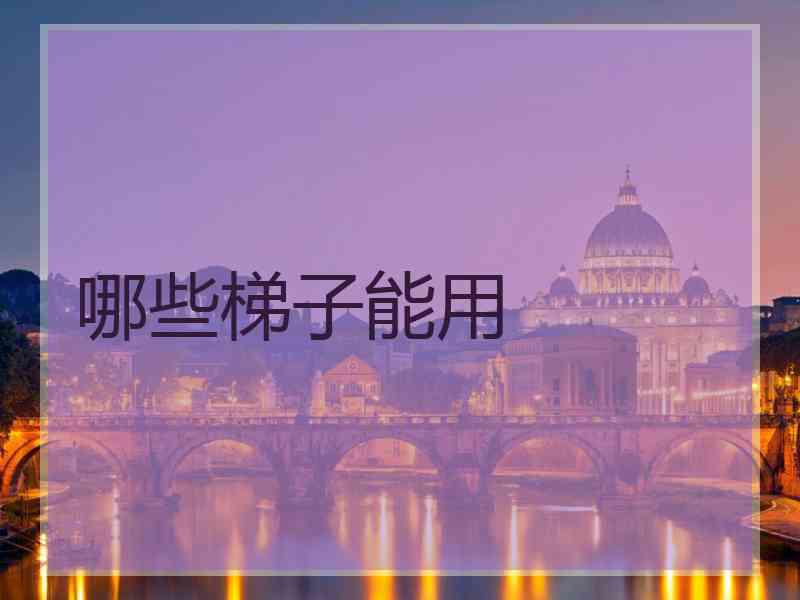 哪些梯子能用