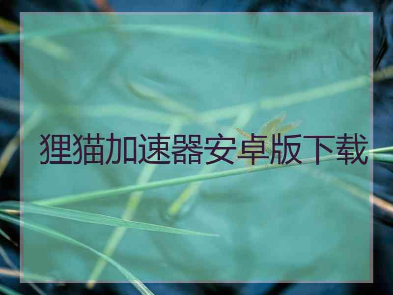 狸猫加速器安卓版下载