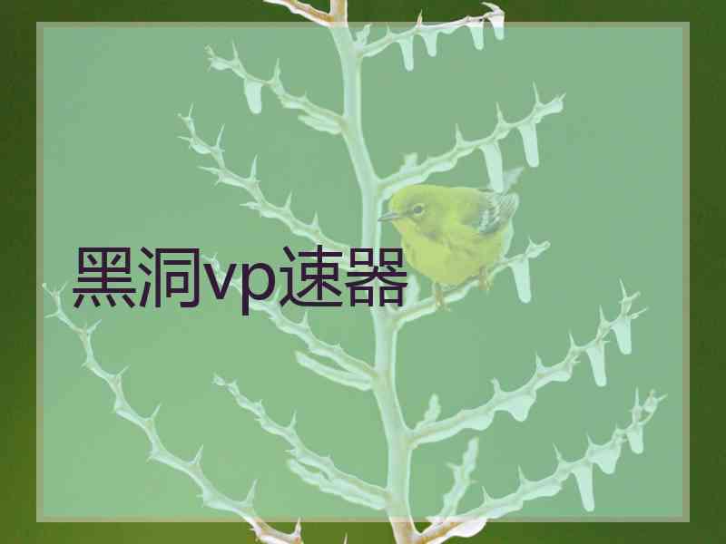 黑洞vp速器