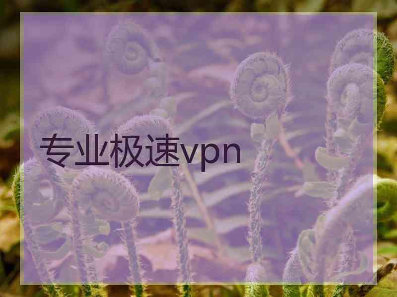 专业极速vpn