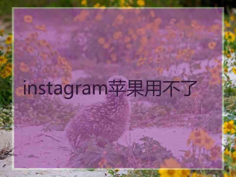 instagram苹果用不了