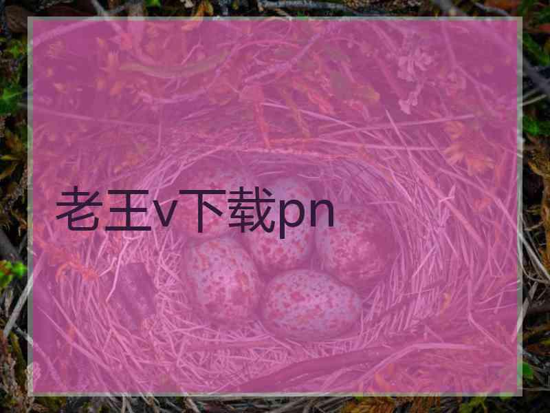 老王v下载pn