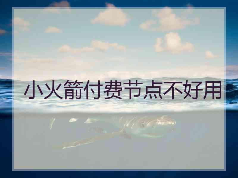 小火箭付费节点不好用