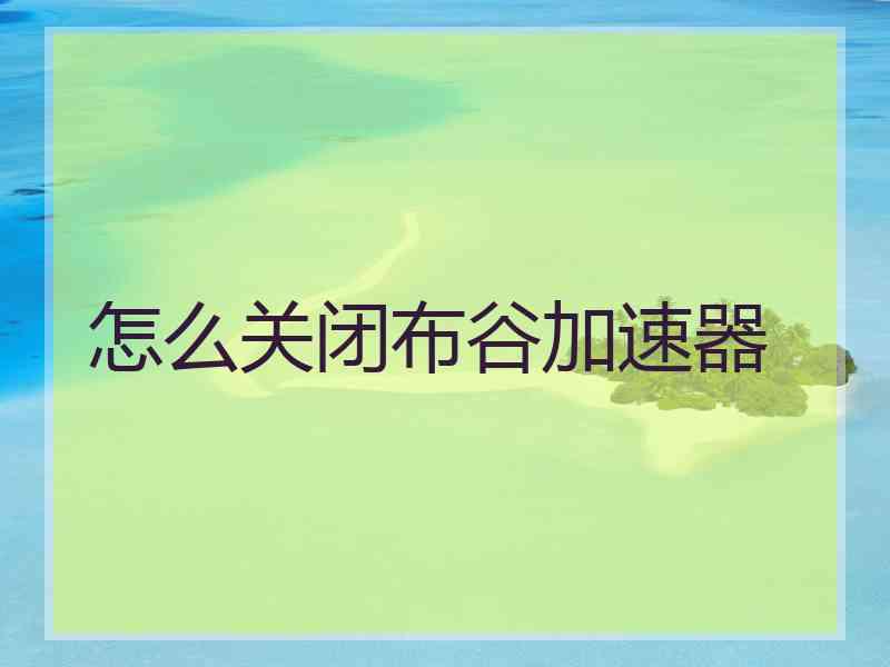 怎么关闭布谷加速器