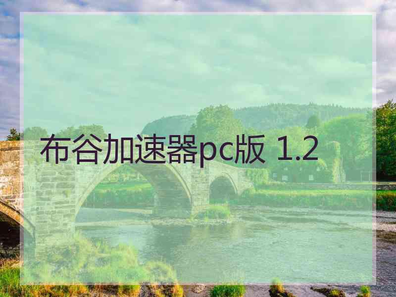 布谷加速器pc版 1.2