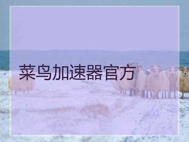 菜鸟加速器官方