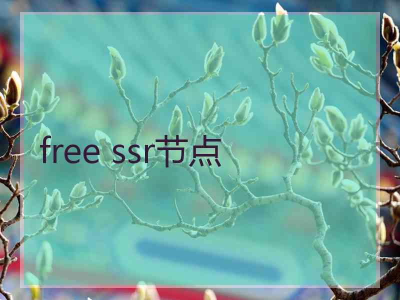 free ssr节点