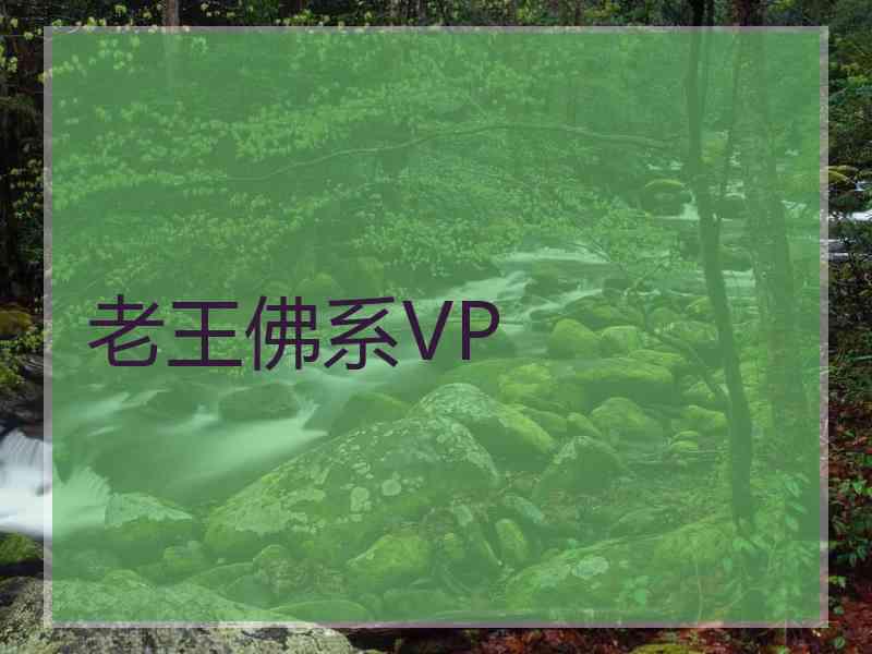 老王佛系VP