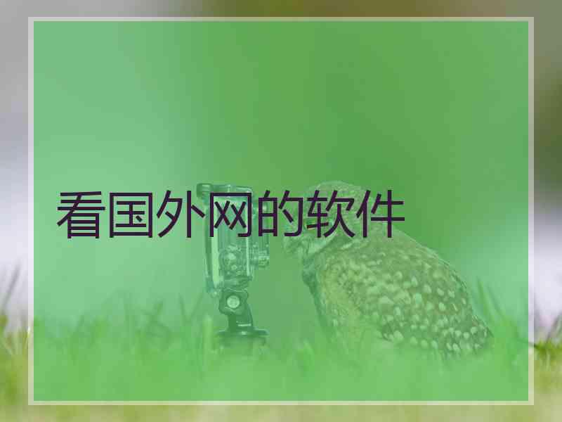 看国外网的软件