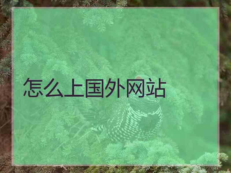 怎么上国外网站