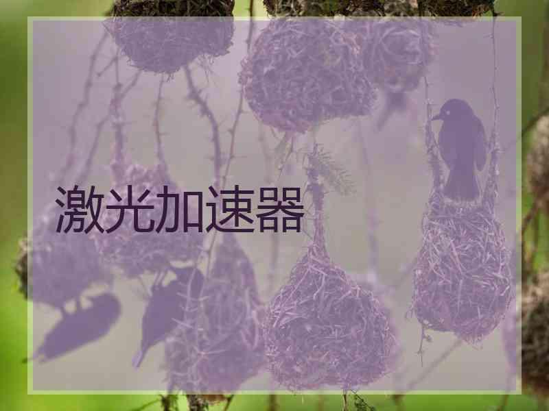 激光加速器