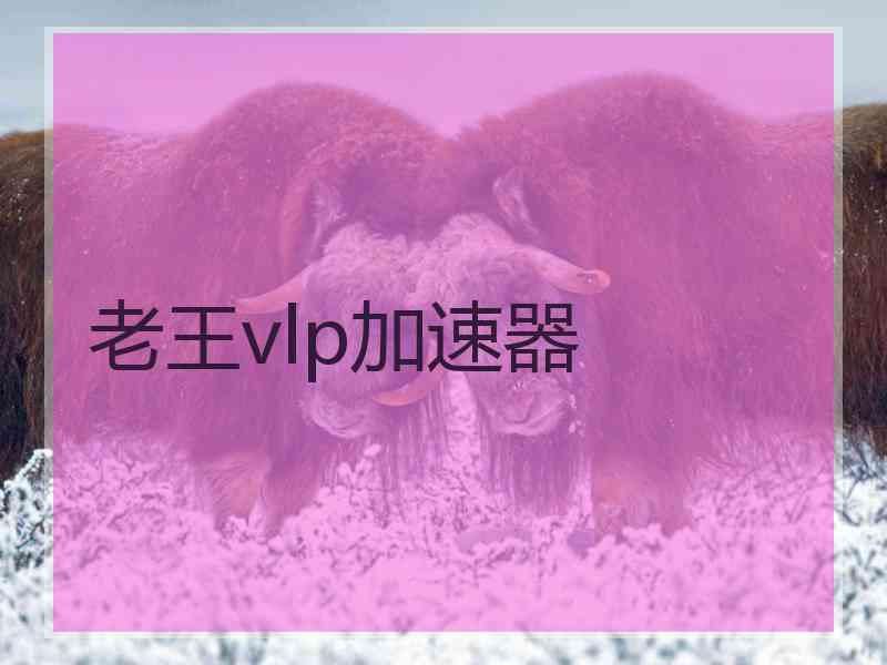 老王vlp加速器