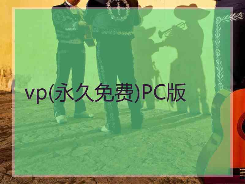 vp(永久免费)PC版