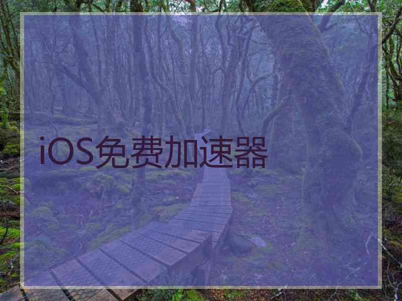 iOS免费加速器
