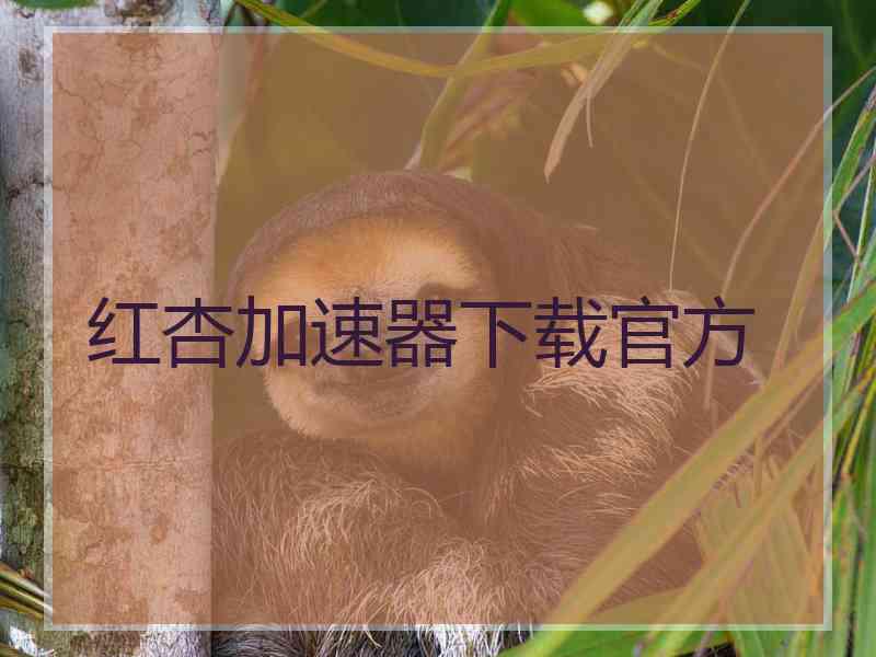 红杏加速器下载官方