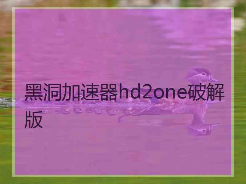 黑洞加速器hd2one破解版