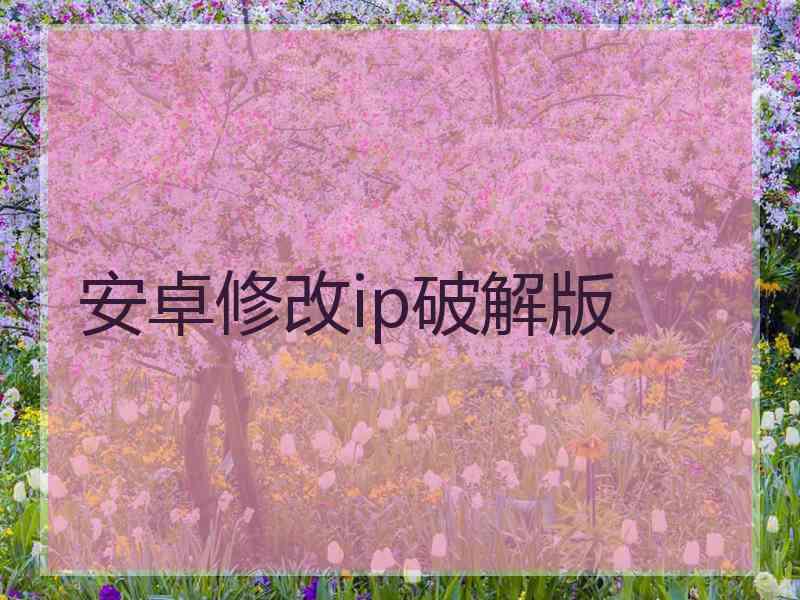 安卓修改ip破解版