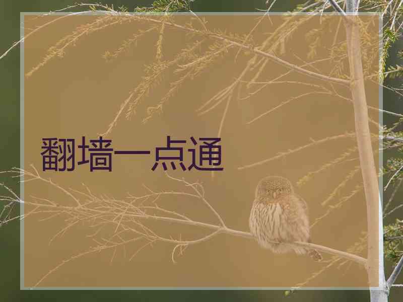 翻墙一点通