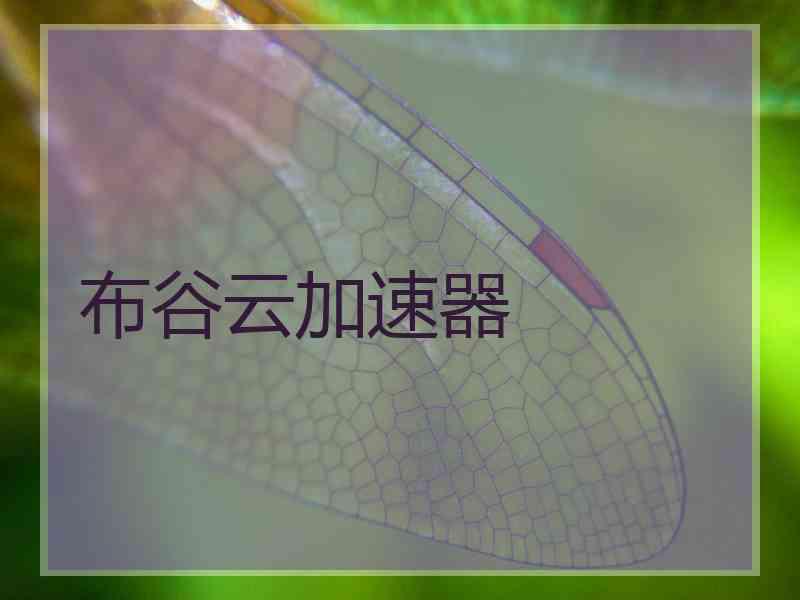 布谷云加速器