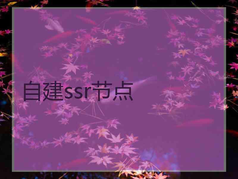 自建ssr节点
