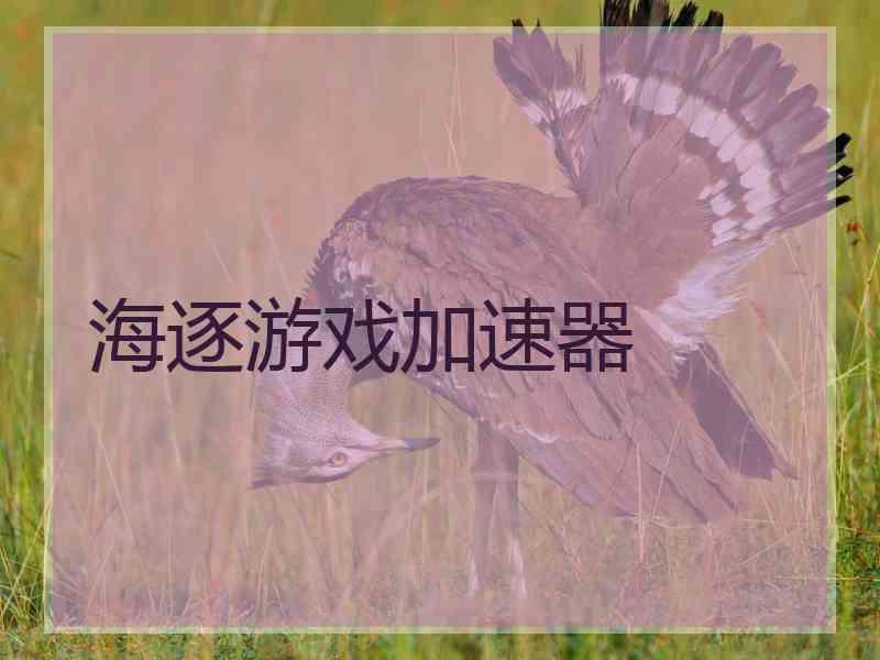 海逐游戏加速器