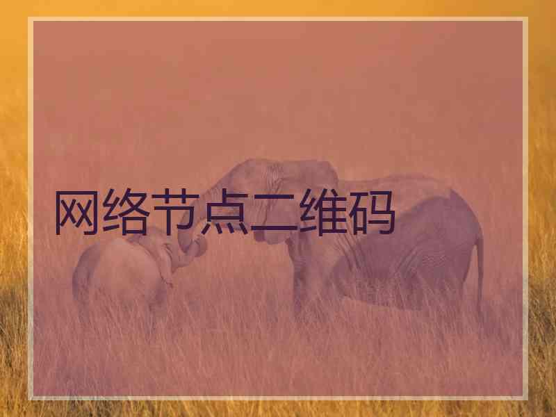 网络节点二维码