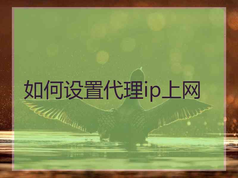 如何设置代理ip上网