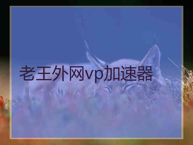 老王外网vp加速器