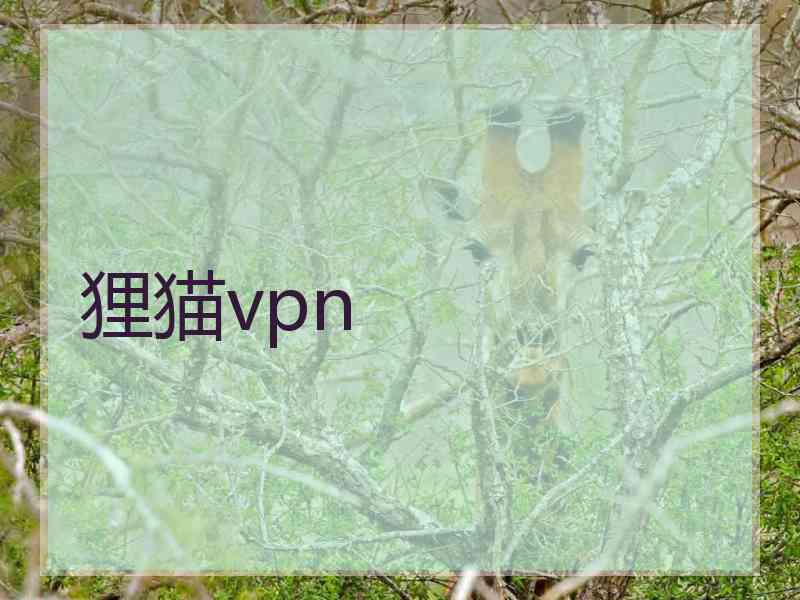 狸猫vpn
