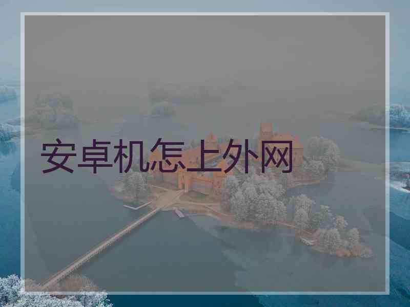 安卓机怎上外网