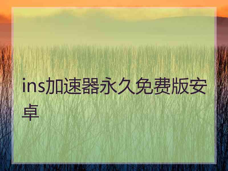 ins加速器永久免费版安卓
