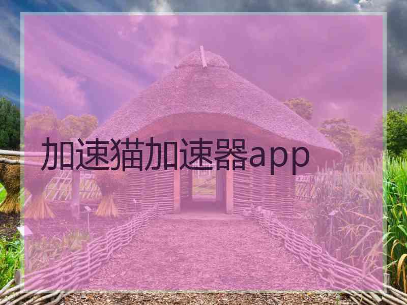 加速猫加速器app